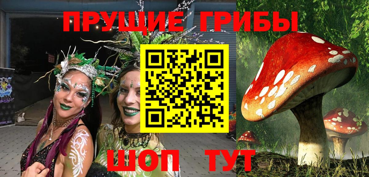 Псилоцибиновые грибы мухоморы Сибай